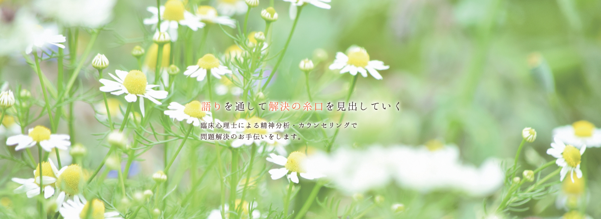 img20170926155825662533.jpg